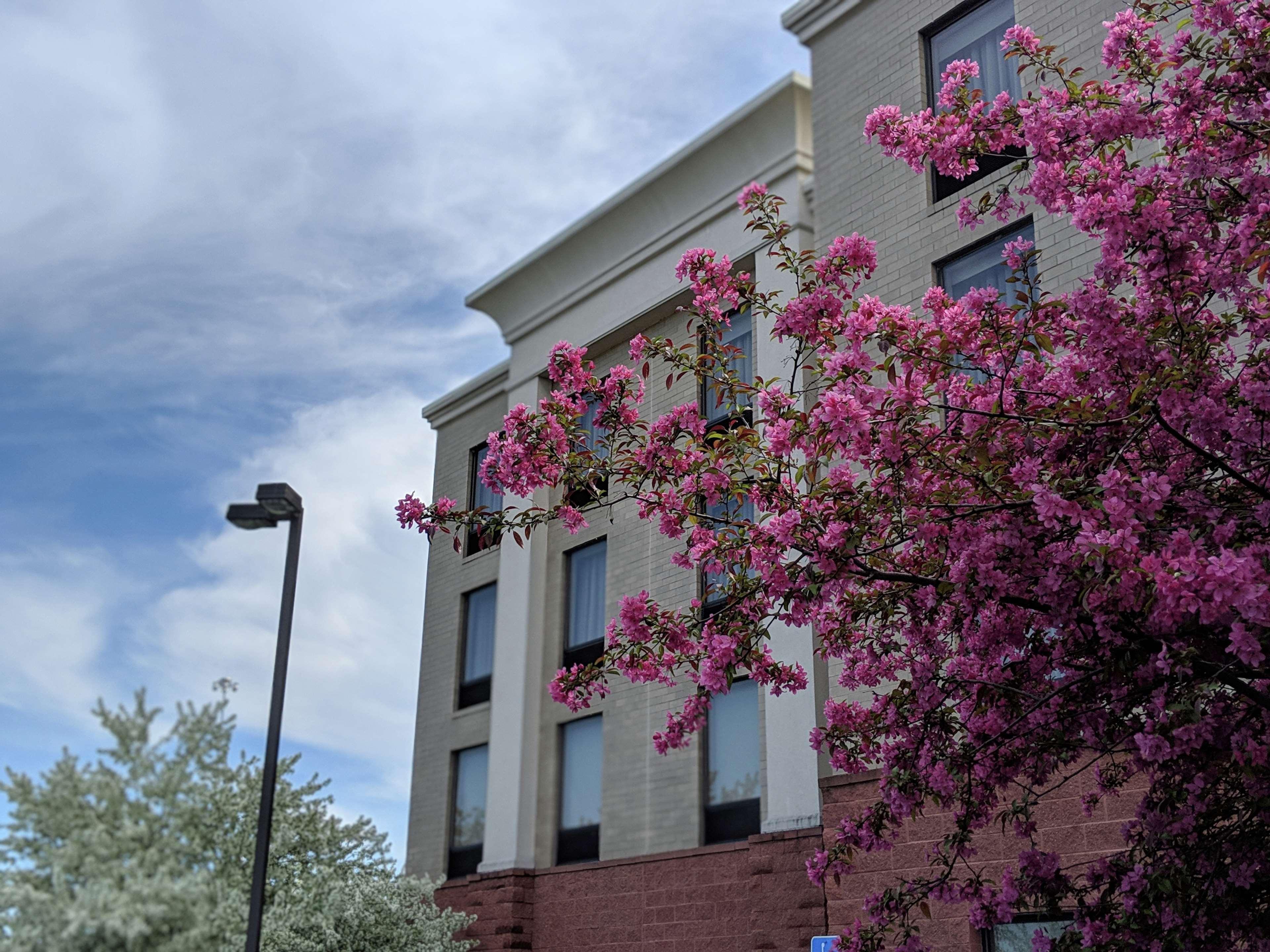 Hampton Inn & Suites Cincinnati-Union Centre West Chester Eksteriør billede